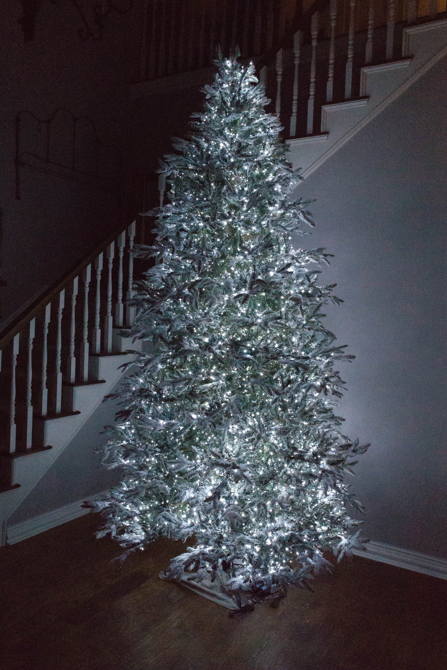 1,000 LED Designer Twinkle Lights in Ice White