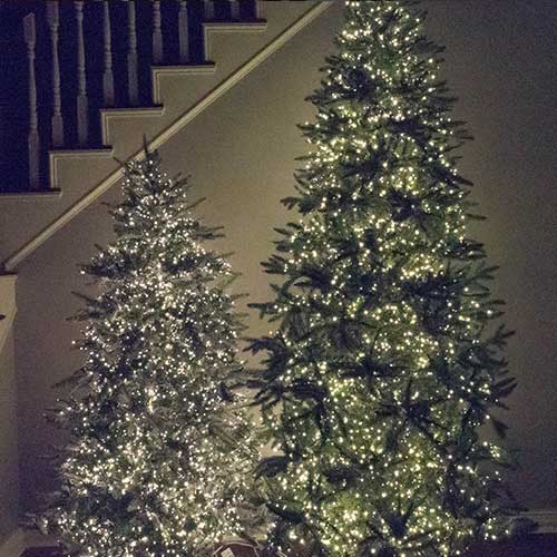 49.5' RAZ Cluster Lights | 1,500 Warm White LEDs | Green Wire
