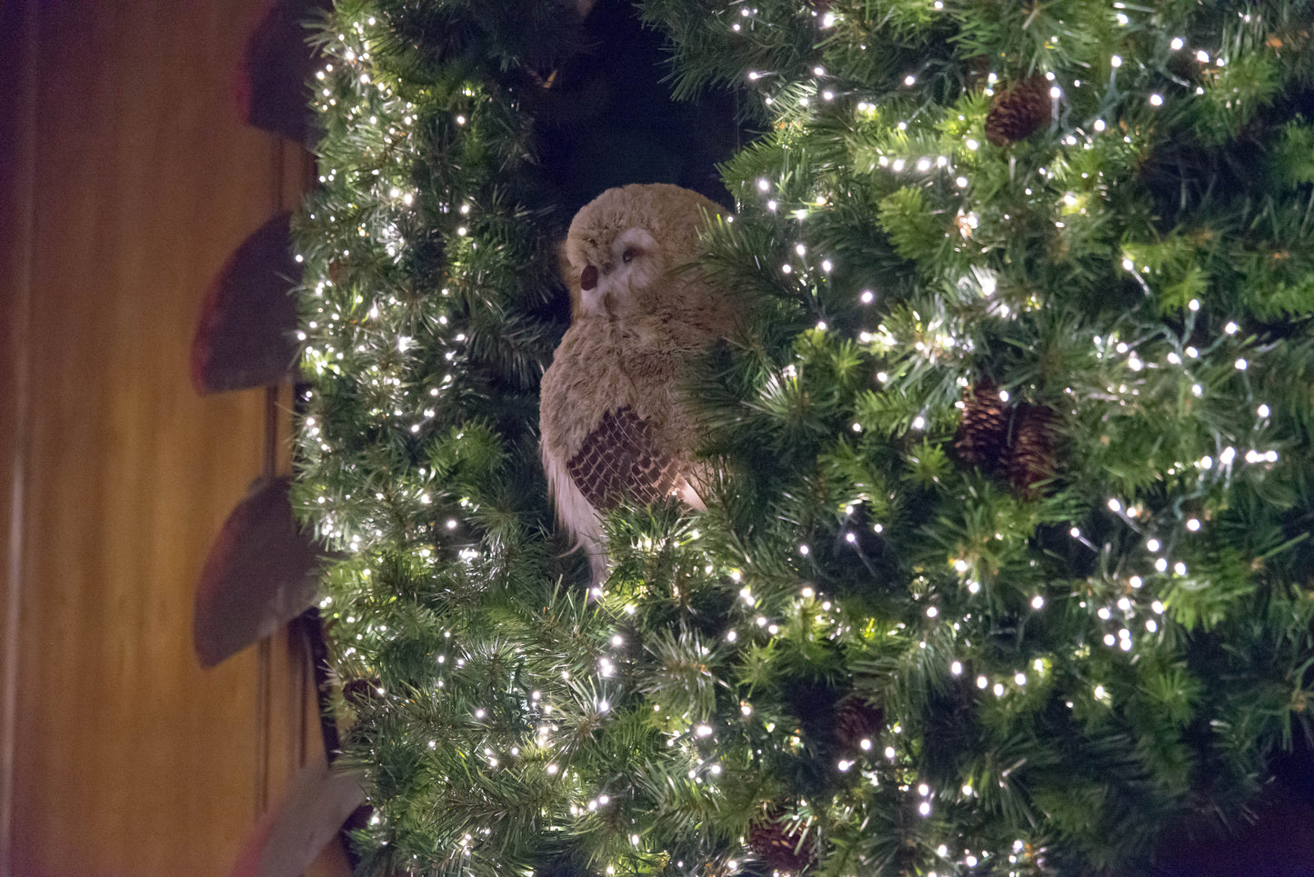 21.5" Winter Chalet Feather Owl