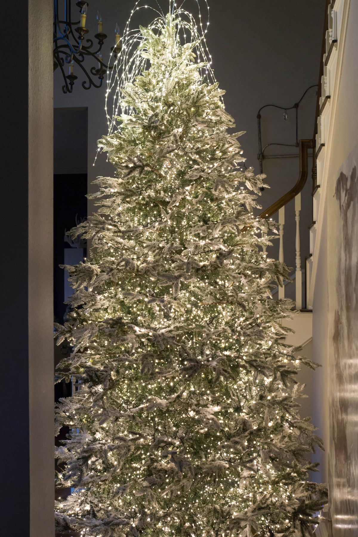 75' Connectable Snake Lights | 1,000 Warm White LEDs | Green Wire