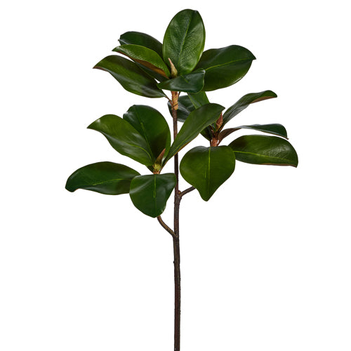 25" Magnolia Leaf Spray - Christmas Tree and Holiday Greenery