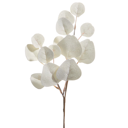 16.25 Inch White Eucalyptus Pick