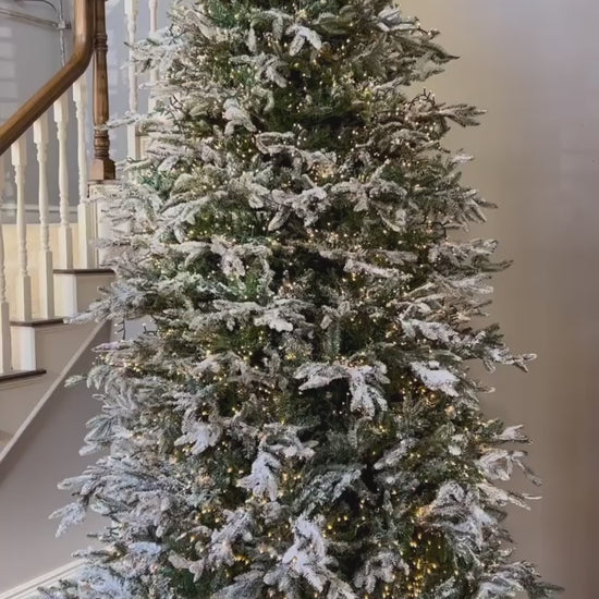 Christmas lights, Christmas LED lights, Lights for Christmas tree, designer Christmas lights, RAZ lights, white Christmas lights, snake lights, Connectable Christmas lights