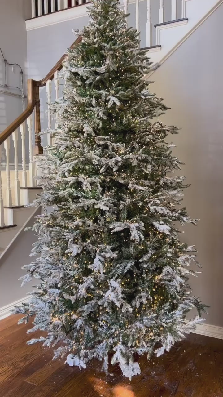 Christmas lights, Christmas LED lights, Lights for Christmas tree, designer Christmas lights, RAZ lights, white Christmas lights, snake lights, Connectable Christmas lights